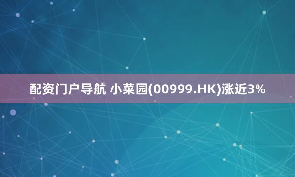 配资门户导航 小菜园(00999.HK)涨近3%