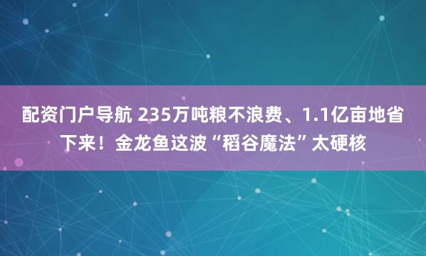 配资门户导航 235万吨粮不浪费、1.1亿亩地省下来！金龙鱼这波“稻谷魔法”太硬核