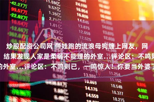 炒股配资公司网 带娃跑的流浪母狗缠上网友，网友狠下心肠让它退退退，结果发现人家是柔弱不能理的外室…评论区：不鸣则已，一鸣惊人！你要当外婆了…