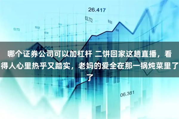 哪个证券公司可以加杠杆 二饼回家这趟直播，看得人心里热乎又踏实，老妈的爱全在那一锅炖菜里了